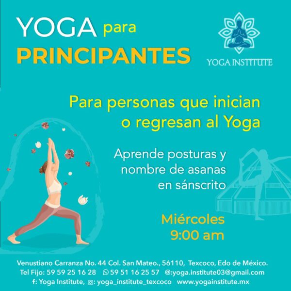 Yoga para principiantes